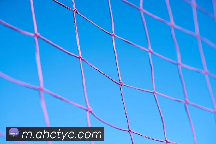 太阳城网站平台生态图