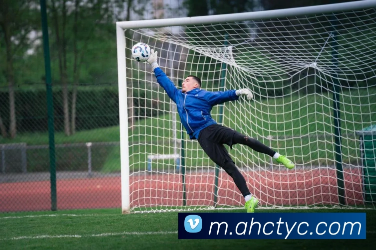 太阳城网站APP 封面图